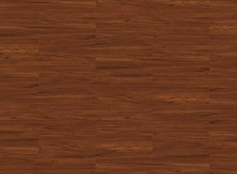 Kenali Beragam Motif Kayu Vinyl Lantai dan Asal Pohonnya