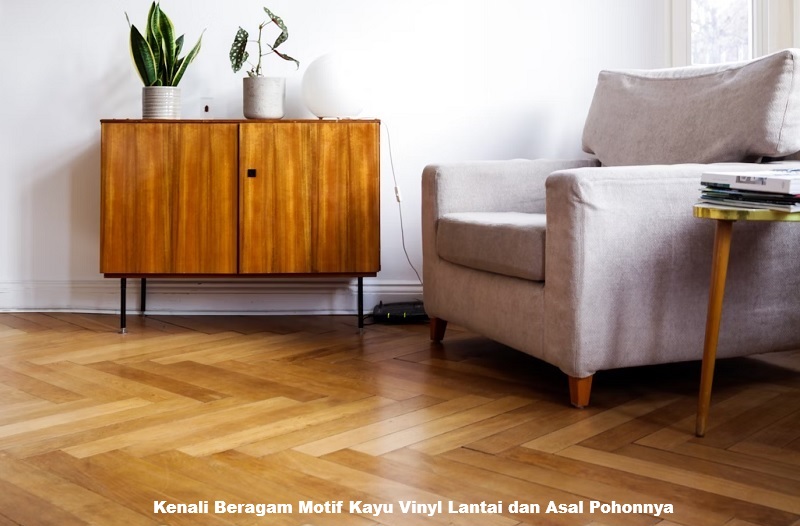 Kenali Beragam Motif Kayu Vinyl Lantai dan Asal Pohonnya