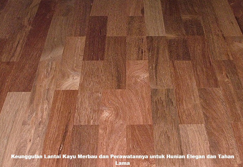 Keunggulan Lantai Kayu Merbau dan Perawatannya untuk Hunian Elegan dan Tahan Lama