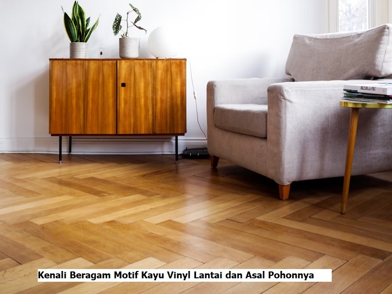 Kenali Beragam Motif Kayu Vinyl Lantai dan Asal Pohonnya